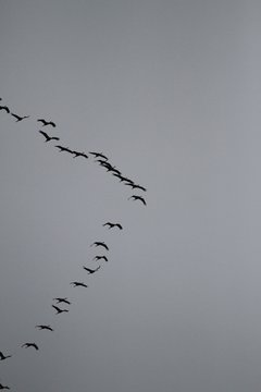 Bild 103 - SSV am 9.10.11
